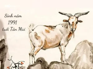 1991 Cầm Tinh Con Gì