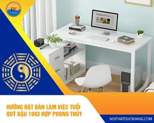 1993 Hợp Hướng Làm Việc Nào