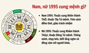 1995 Mệnh Gì Cung Gì