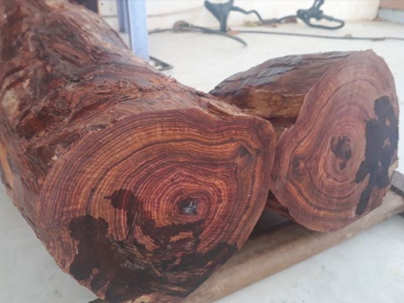 vân gỗ đẹp tự nhiên