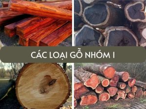 các loại gỗ nhóm 1