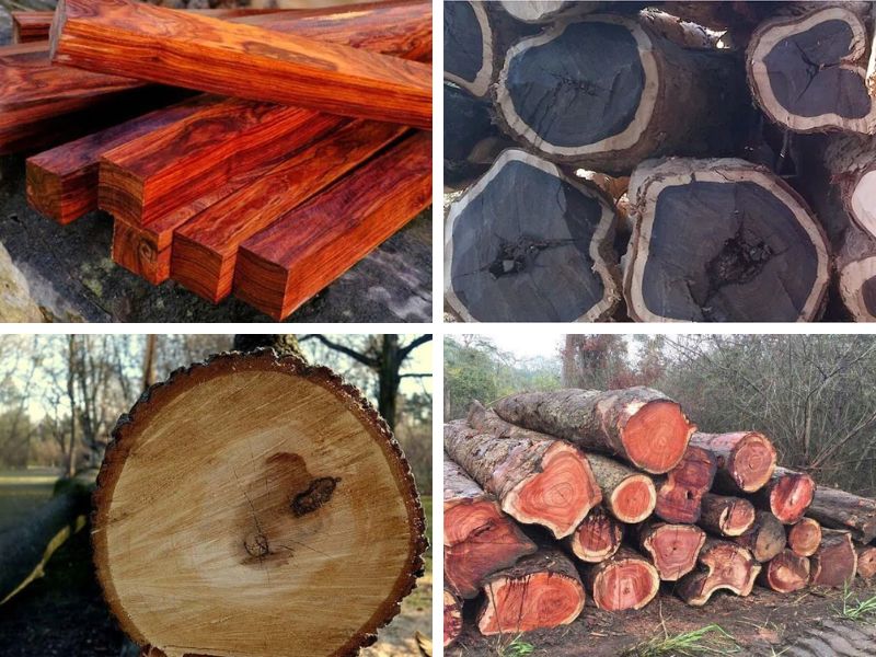 danh sách các loại gỗ nhóm 1