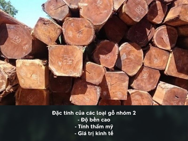 các loại gỗ nhóm 2