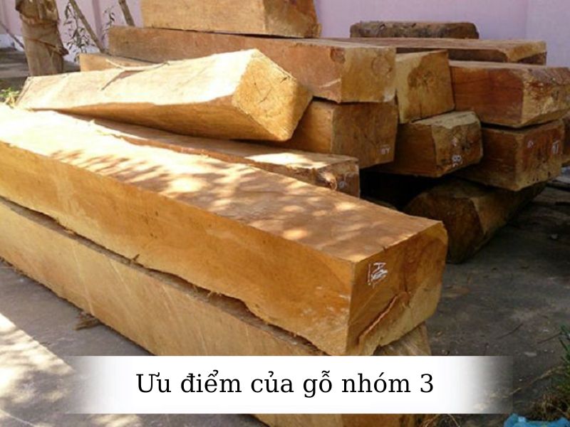 ưu điểm của gỗ nhóm 3