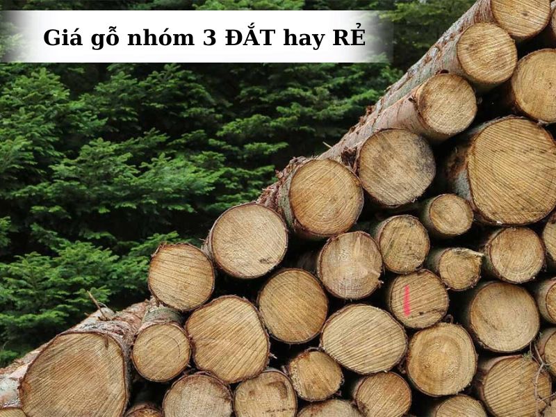 giá gỗ nhóm 3