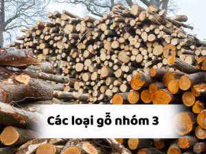 các loại gỗ nhóm 3