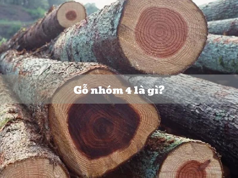 các loại gỗ nhóm 4