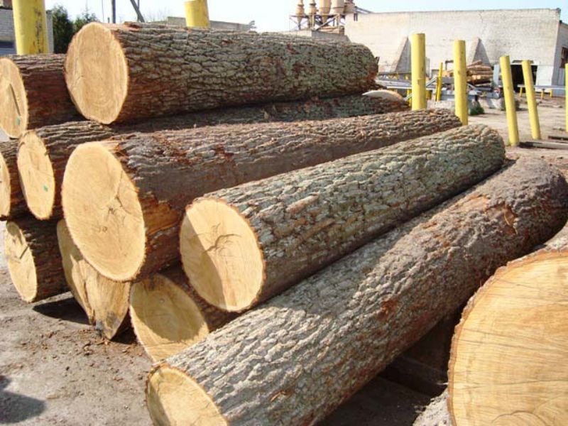 các loại gỗ nhóm 4