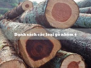 các loại gỗ nhóm 4