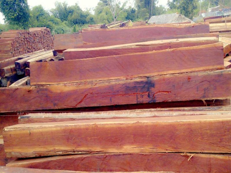 gỗ căm xe thuộc nhóm mấy