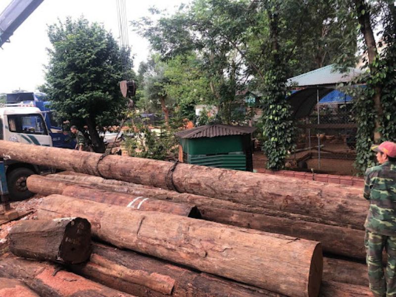 gỗ căm xe thuộc nhóm mấy