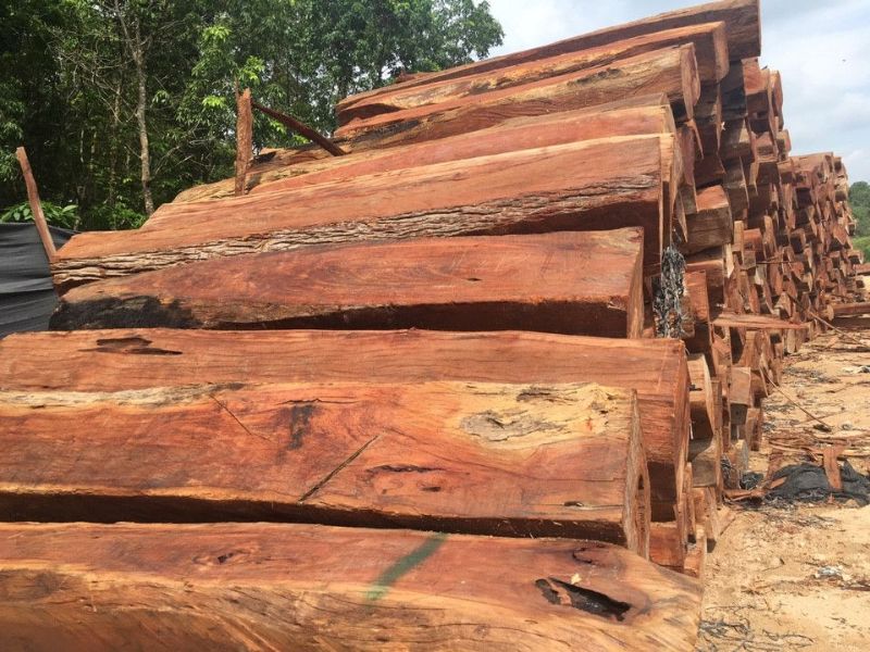 gỗ căm xe thuộc nhóm mấy