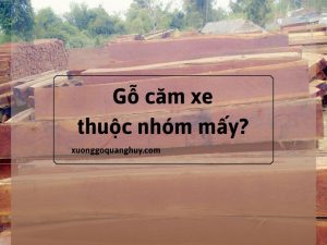 gỗ căm xe thuộc nhóm mấy