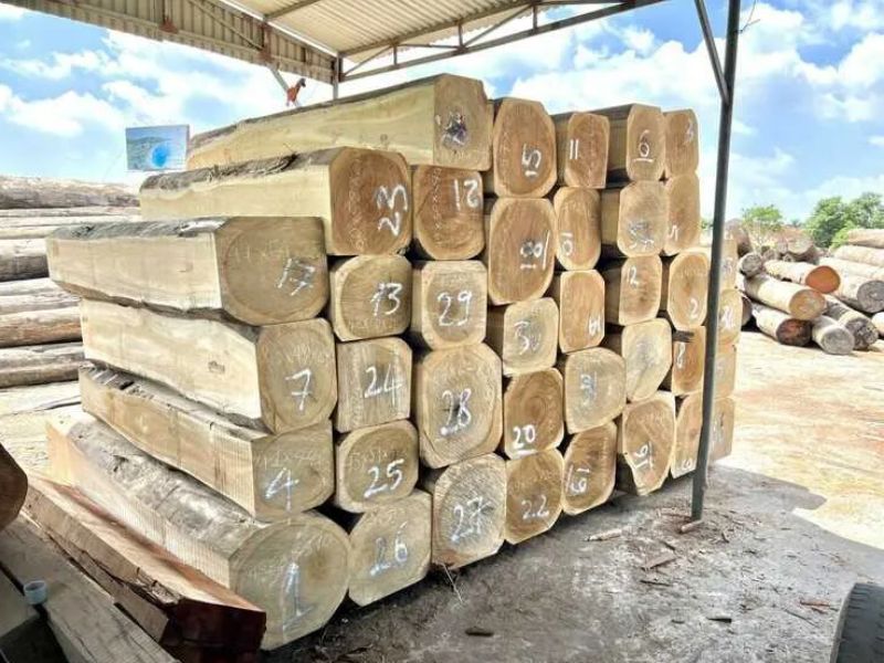 giá gỗ dổi bao nhiêu