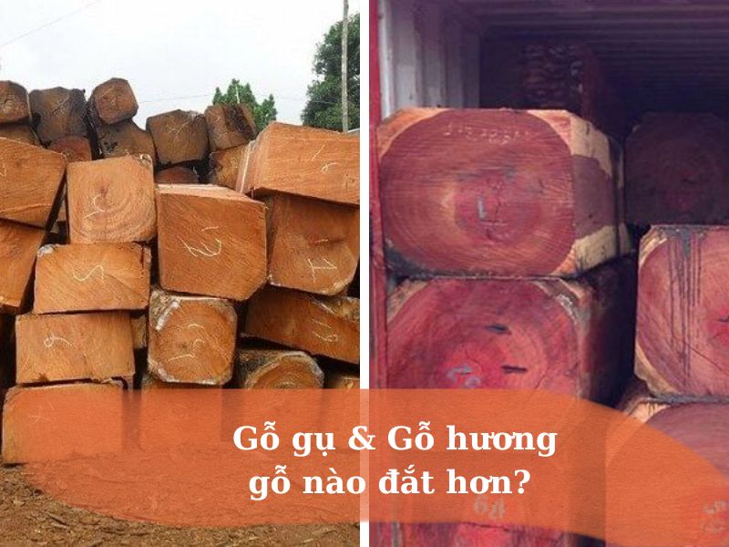 gỗ gụ và gỗ hương gỗ nào đắt hơn