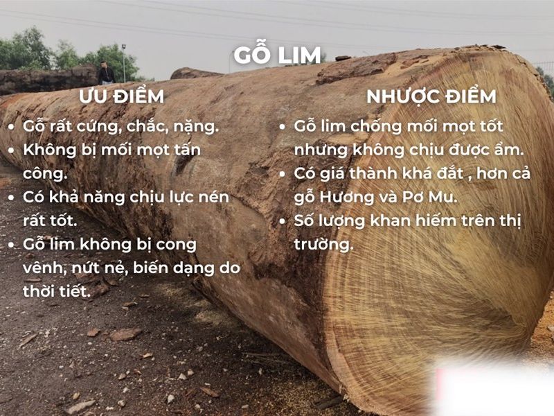 ưu và nhược điểm của gỗ lim