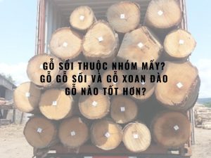 gỗ sồi thuộc nhóm mấy