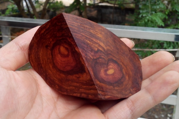 gỗ sưa là gì