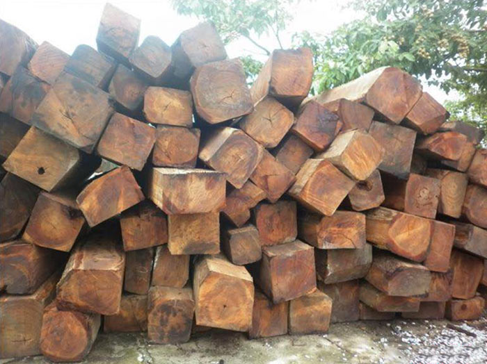 tìm hiểu gỗ trắc