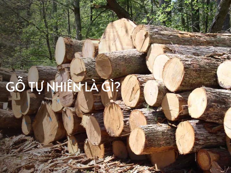 gỗ tự nhiên là gì