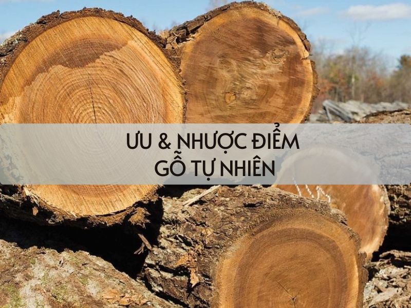 ưu nhược điểm của gỗ tự nhiên