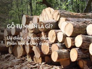 gỗ tự nhiên là gì
