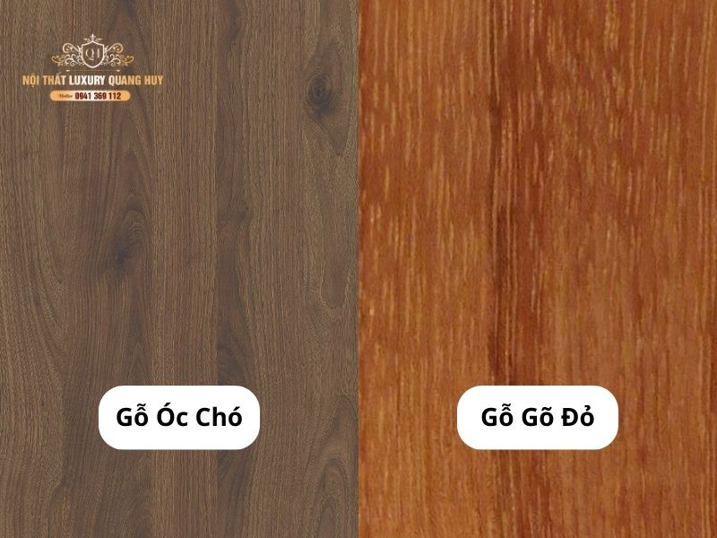 nội thât óc chó
