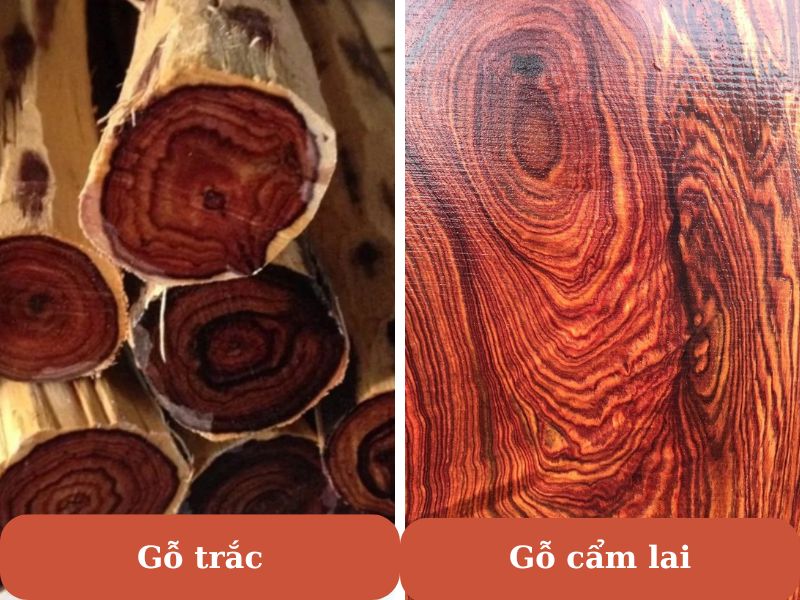 So sánh gỗ trắc và gỗ cẩm lai