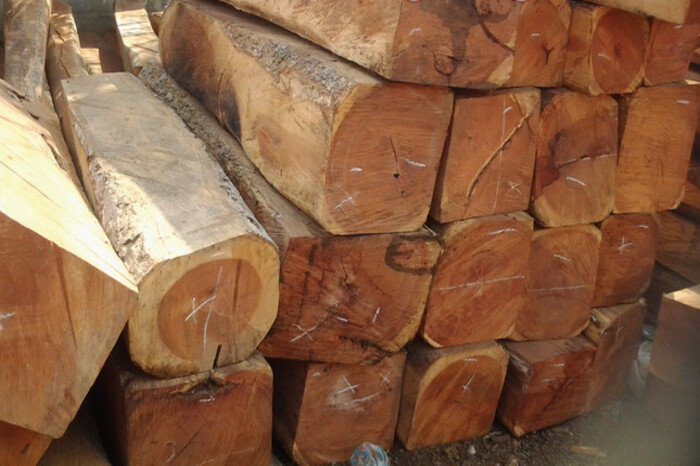 So sánh gỗ trắc và gỗ cẩm lai