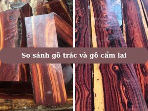 So sánh gỗ trắc và gỗ cẩm lai