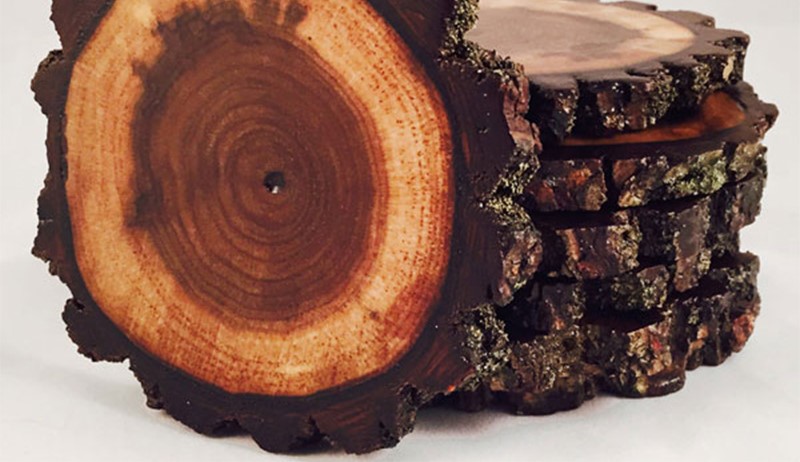 màu gỗ walnut
