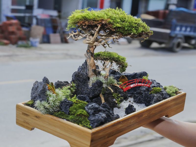 thiết kế tiểu cảnh sân vườn biệt thự