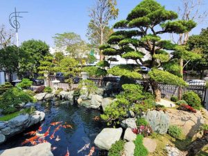 tiểu cảnh sân vườn biệt thự