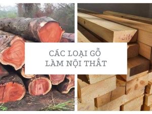 các loại gỗ làm nội thất