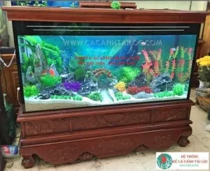 Bể Cá Cảnh Đẹp Giá Rẻ