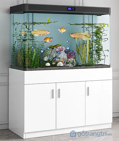 Bể Cá Cảnh Hiện Đại