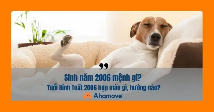 Bính Tuất Hợp Hướng Nào