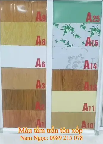 Các Mẫu Tôn Trần Nhà Các Mẫu Tôn Trần Nhà