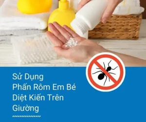 Cách Diệt Kiến Riện Trên Giường