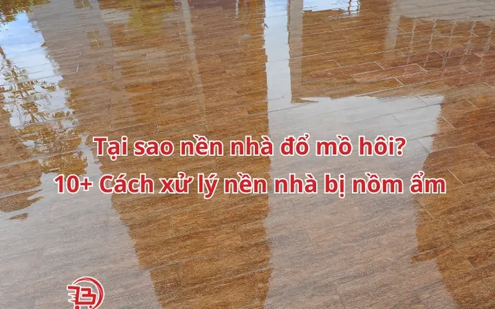 Cách Xử Lý Nền Nhà Bị Nồm