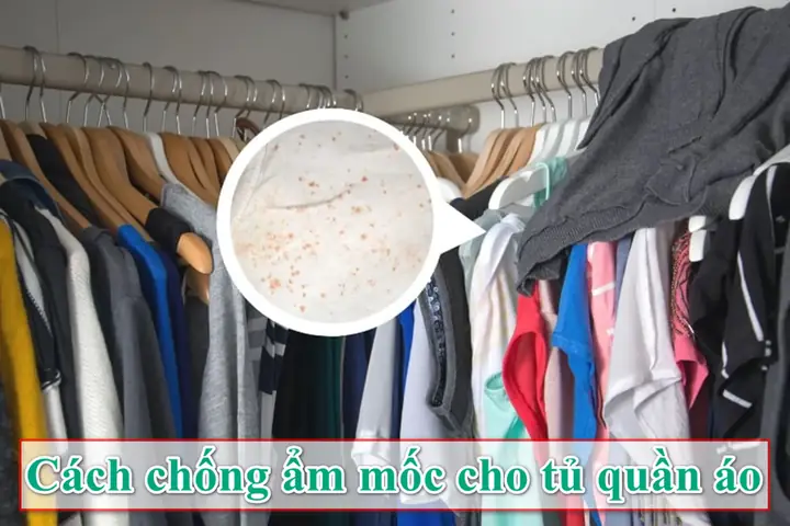 Chống Ẩm Mốc Cho Tủ Quần Áo