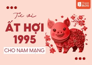 Chồng Ất Hợi Vợ Ất Hợi