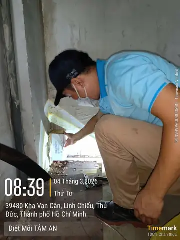 Cửa Hàng Nội Thất Ở Thủ Đức Cửa Hàng Nội Thất Ở Thủ Đức