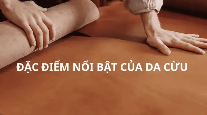 Da Bò Loại Nào Tốt Da Bò Loại Nào Tốt
