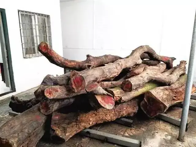 Giá Gỗ Hoàng Hoa Lê