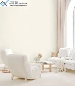 Giấy Dán Tường Màu Vàng Nhạt