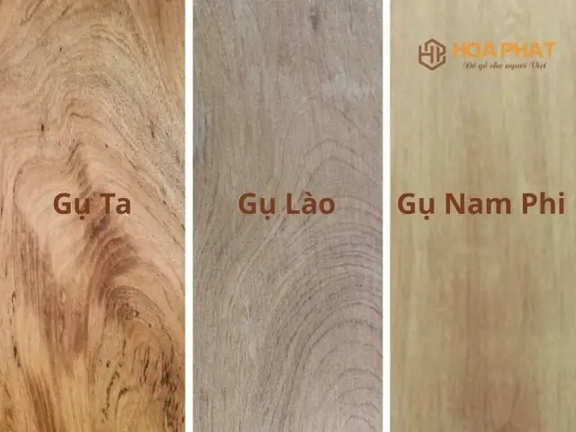 Gỗ Gụ Có Mấy Loại Gỗ Gụ Có Mấy Loại