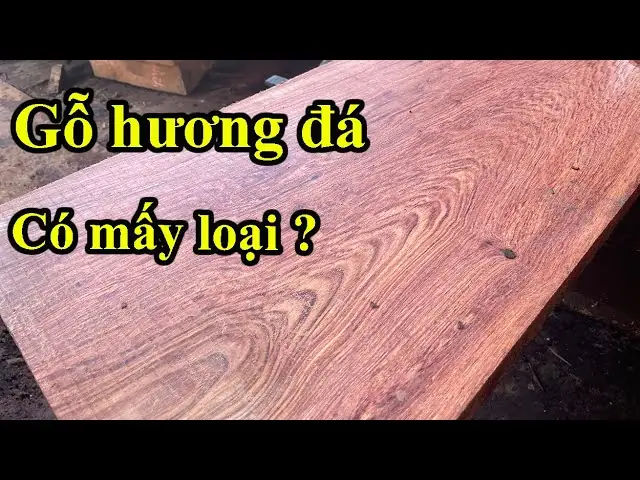 Gỗ Hương Đá Có Mấy Loại Gỗ Hương Đá Có Mấy Loại