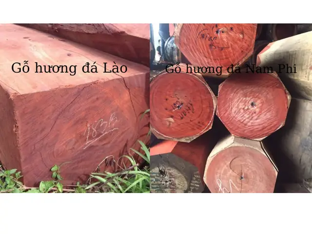 Gỗ Hương Đá Có Mấy Loại Gỗ Hương Đá Có Mấy Loại