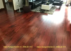 Gỗ Hương Nam Phi Bao Nhiêu Tiền 1 Khối